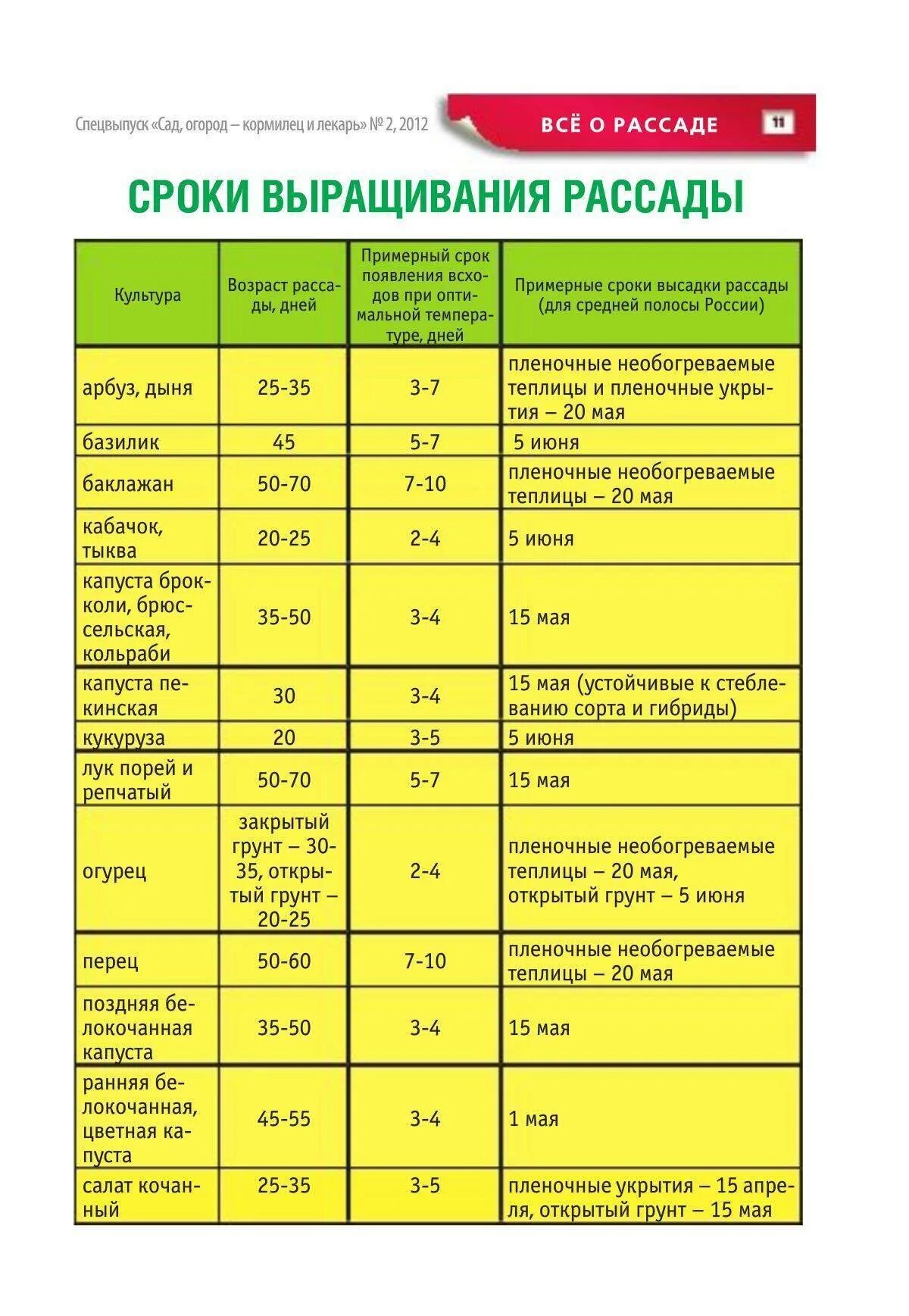 В каком месяце можно высаживать. Возраст рассады для высадки в грунт таблица. Возраст рассады овощей для высадки в грунт таблица. Таблица сроков высадки рассады овощей. Таблица посадки семян в грунт томаты.