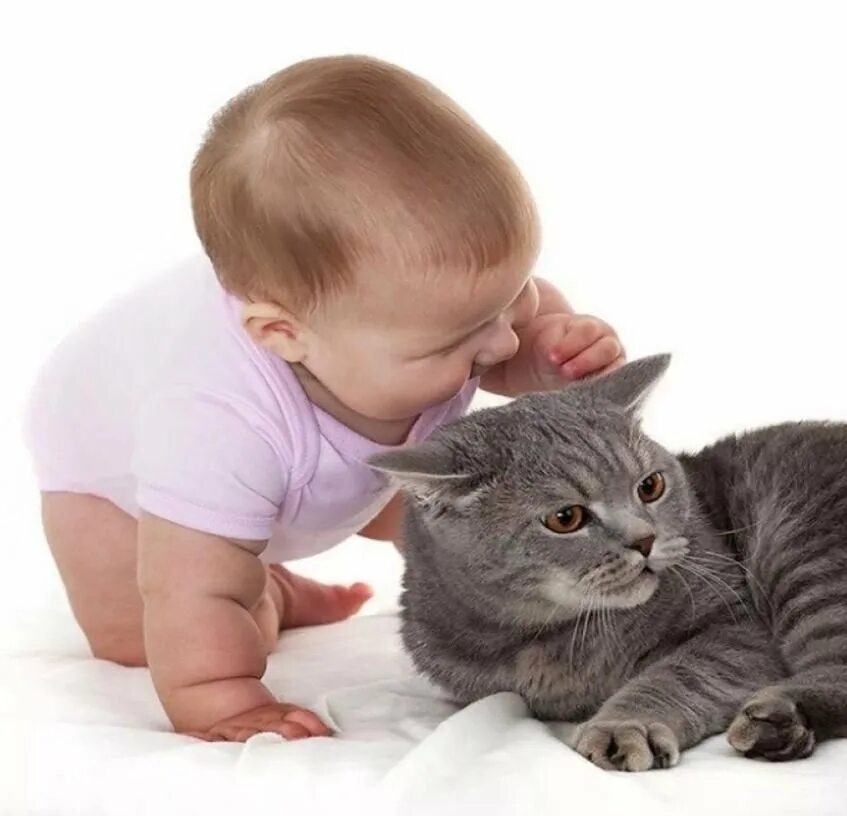 Котенок играет малыша. Кошка для детей. Котёнок-ребёнок. Дети и коты. Маленький котенок для детей.