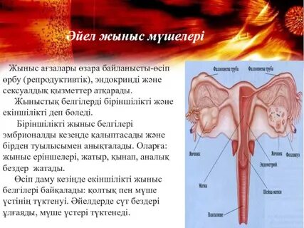 Харьковта бір қыз жыныстық қатынас үшін жігіт іздейді.