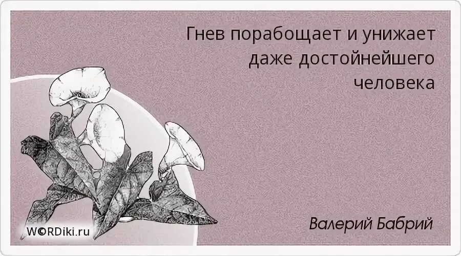 Не отличать пораженья от победы. У мечты есть приятная особенность сбываться цитата. Верь в мечту у неё есть приятная. Верь в мечту у неё есть особенность сбываться. Гнев порабощает и унижает даже достойнейшего человека..