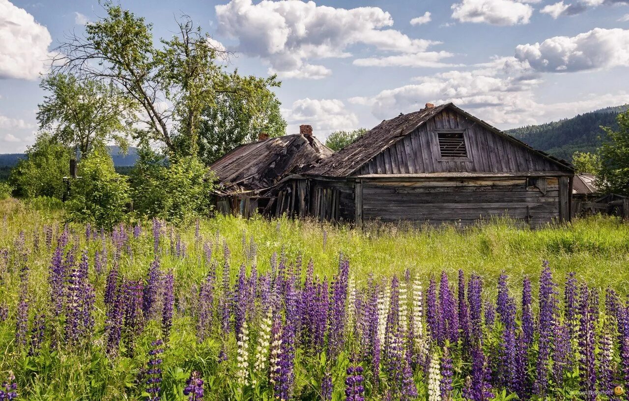 Край деревни 7. Поселок Ослянка Пермский край. Деревня большая Ослянка Пермский край. Большая Ослянка поселок. Заброшенная деревня Ослянка.