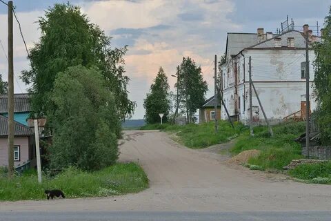 Подслушано пинега
