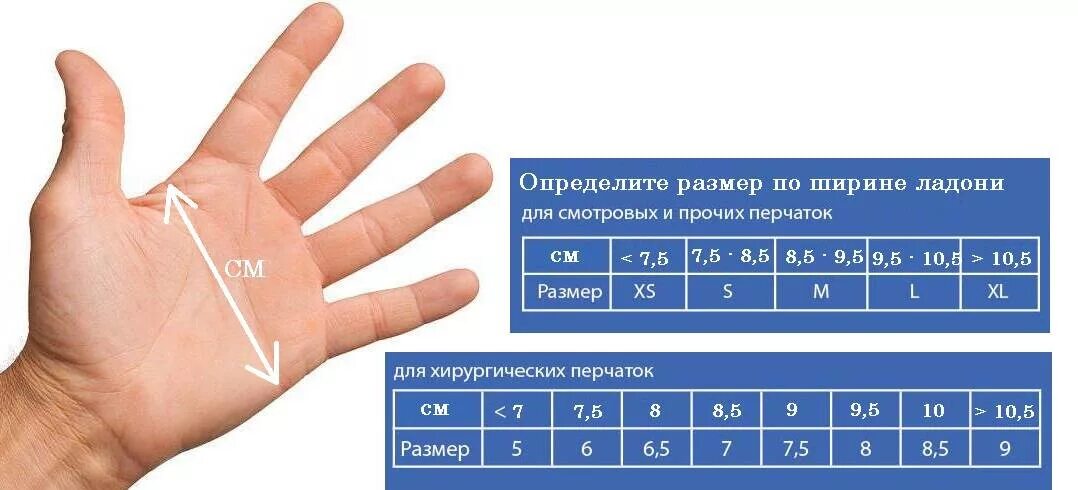 Как измерить руку для перчаток. Размер ладони. Размер женской ладони. Ширина ладони как измерить. Обхват руки для перчаток.