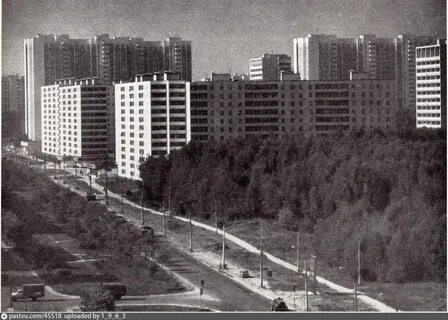 Бибирево дома
