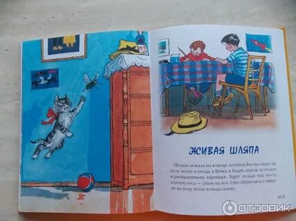 Живая шляпа читательский дневник 1