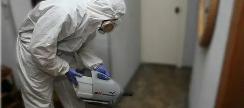 Сэс дезинфекция от клопов