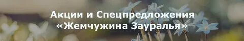 Путевка жемчужина зауралья