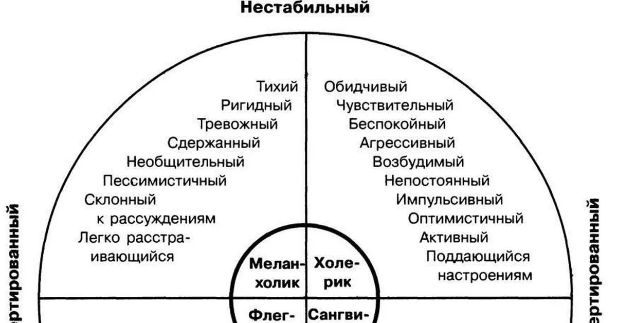 Типология типов темперамента. Типология типов темперамента