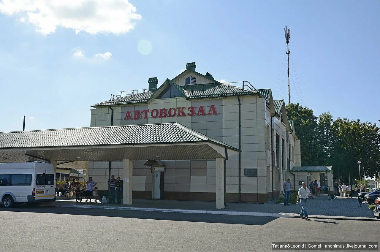 Расписание маршруток до рогачево. Автобус рогачевский. Автобусы довск рогачев. Автобусы довск рогачев. Автобусы довск рогачев.