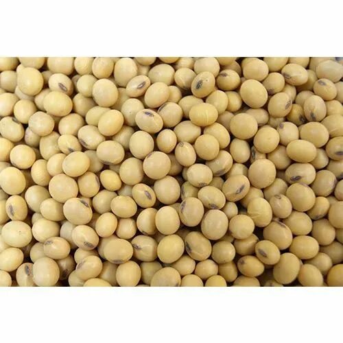 Материал соя. Соя семена купить. вика зерно. gold seeds agro. цена пад посевной материал.
