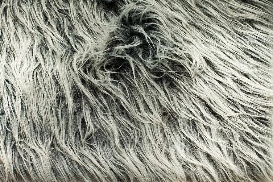 Fur texture. Искусственный мех шерстяной. Мех и шерсть. Мех текстура. Мех и шерсть.