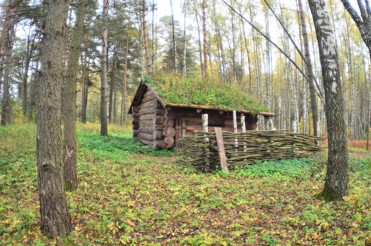 Чернобыль сторожка. Избы в тайге зимовье. Лесная избушка в тайге. Лесной дом лесника. Старая избушка.