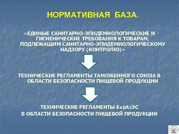 Санитарные меры в таможенном союзе