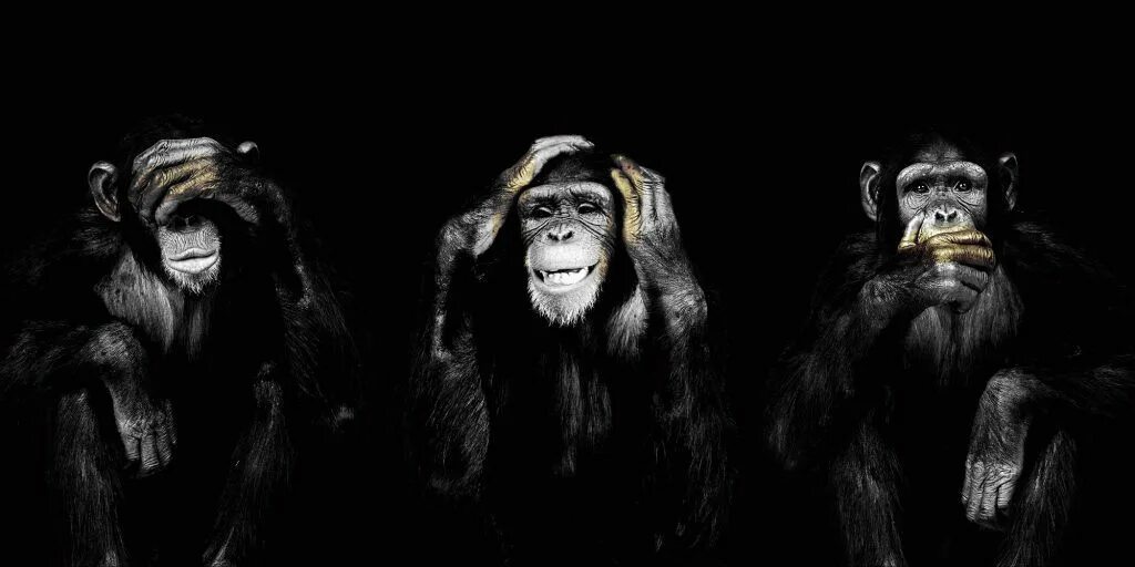 The three monkeys