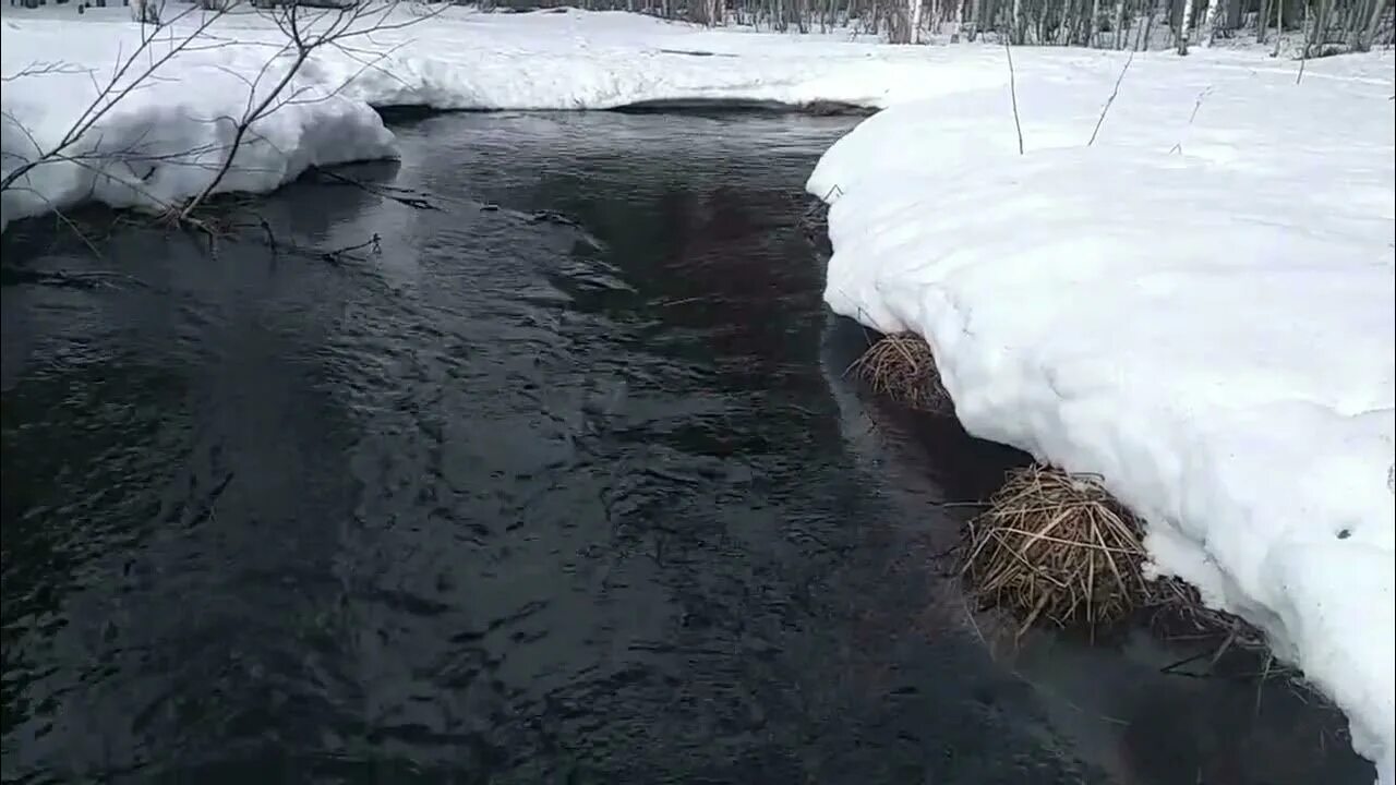 Ручьи весной. Течет ручей. Текущий ручей.