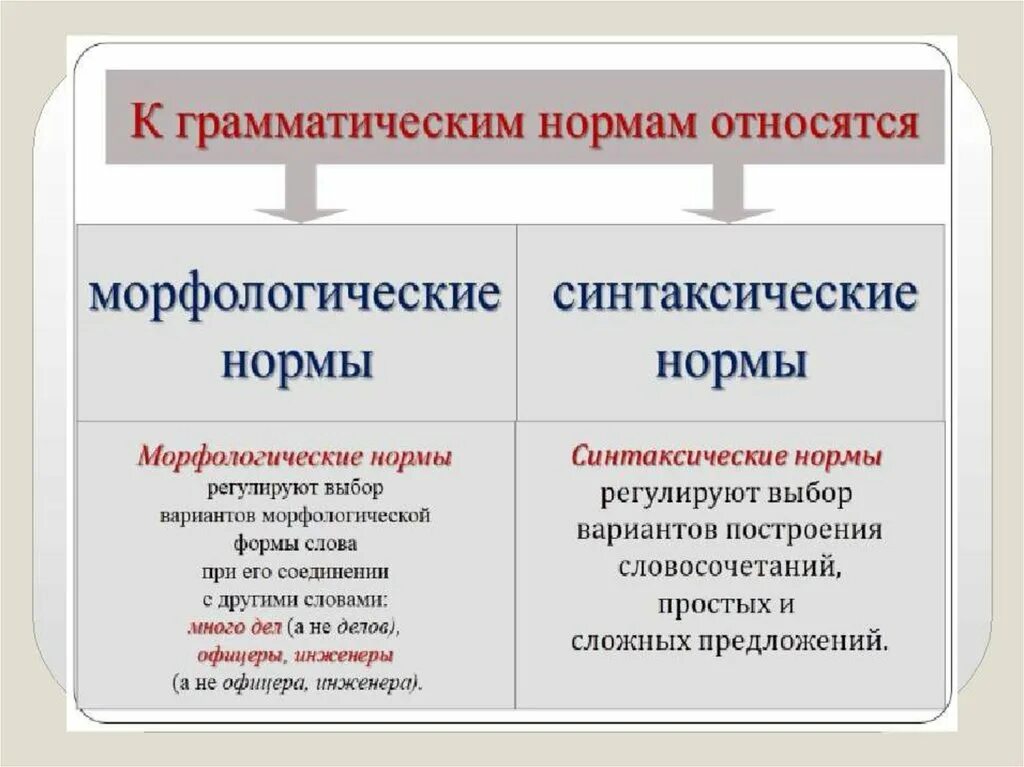 Грамматические нормы русского языка. Основные грамматические нормы. Морфологические и синтаксические нормы. Грамматические нормы русского литературного языка.