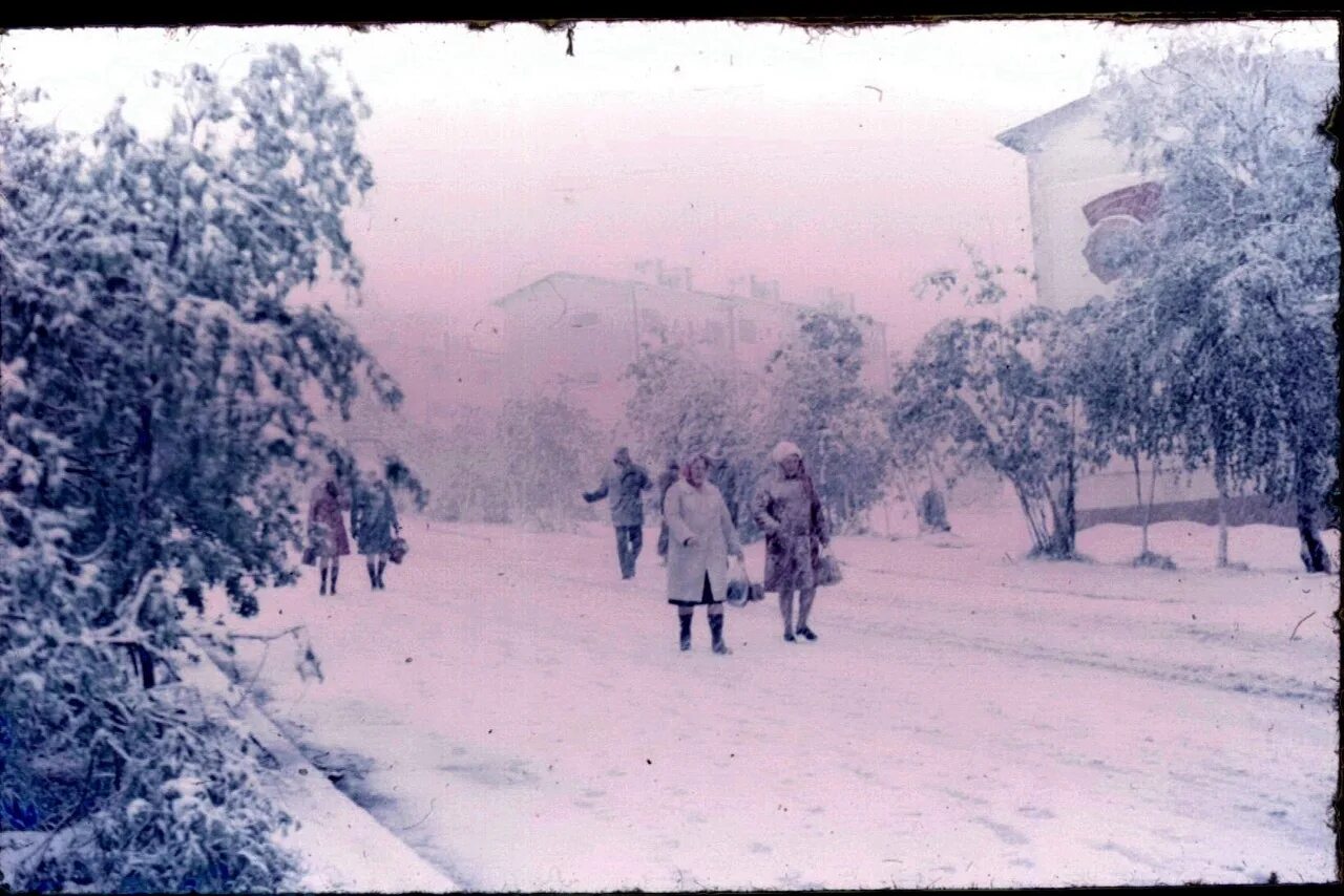 Снег фото. Зима лето. Из зимы в лето. Девушка с зонтом зима. Мемы про зиму.