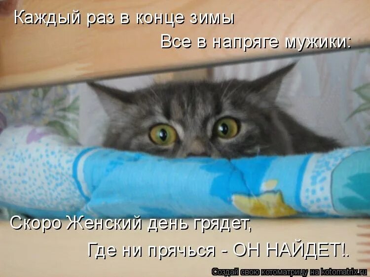 Скоро мужчин не будет. Кот боится. Кот страх.