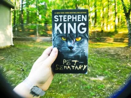Кладбище животных книга