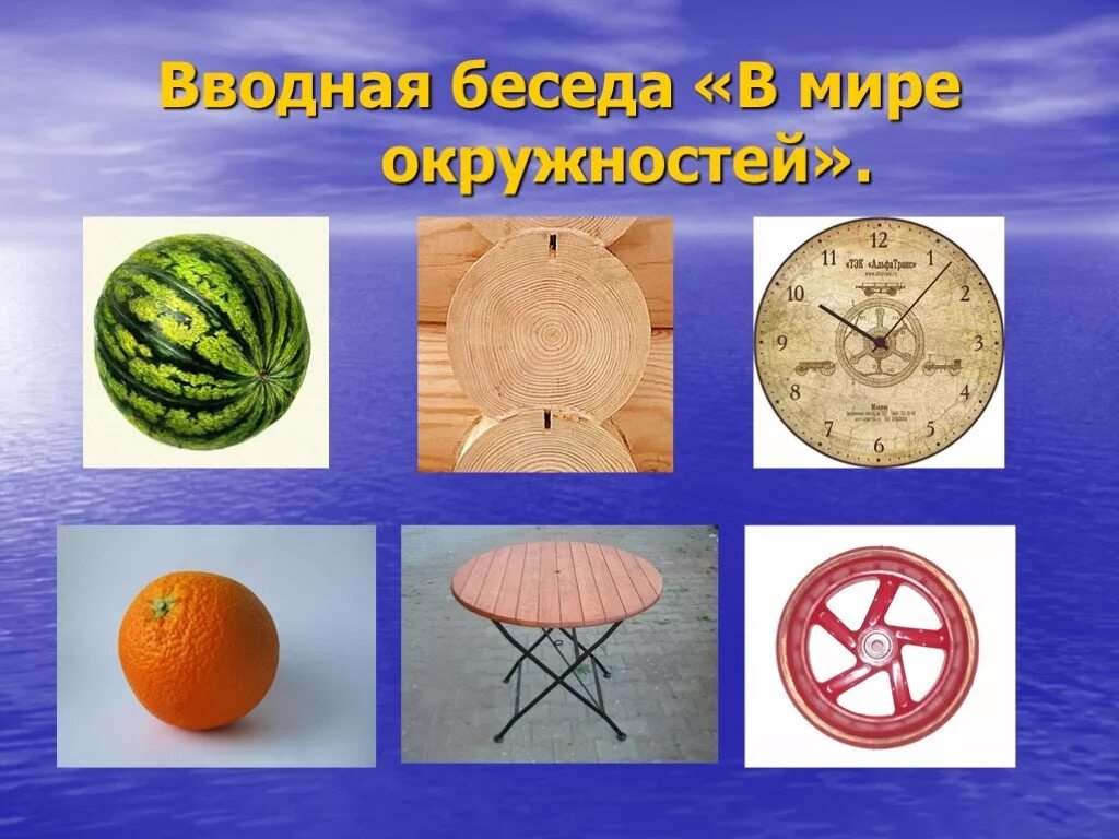 Окружность вокруг нас проект. Презентация геометрия вокруг нас. Примеры окружности в реальной жизни. Окружность в природе. Окружность и круг в природе.