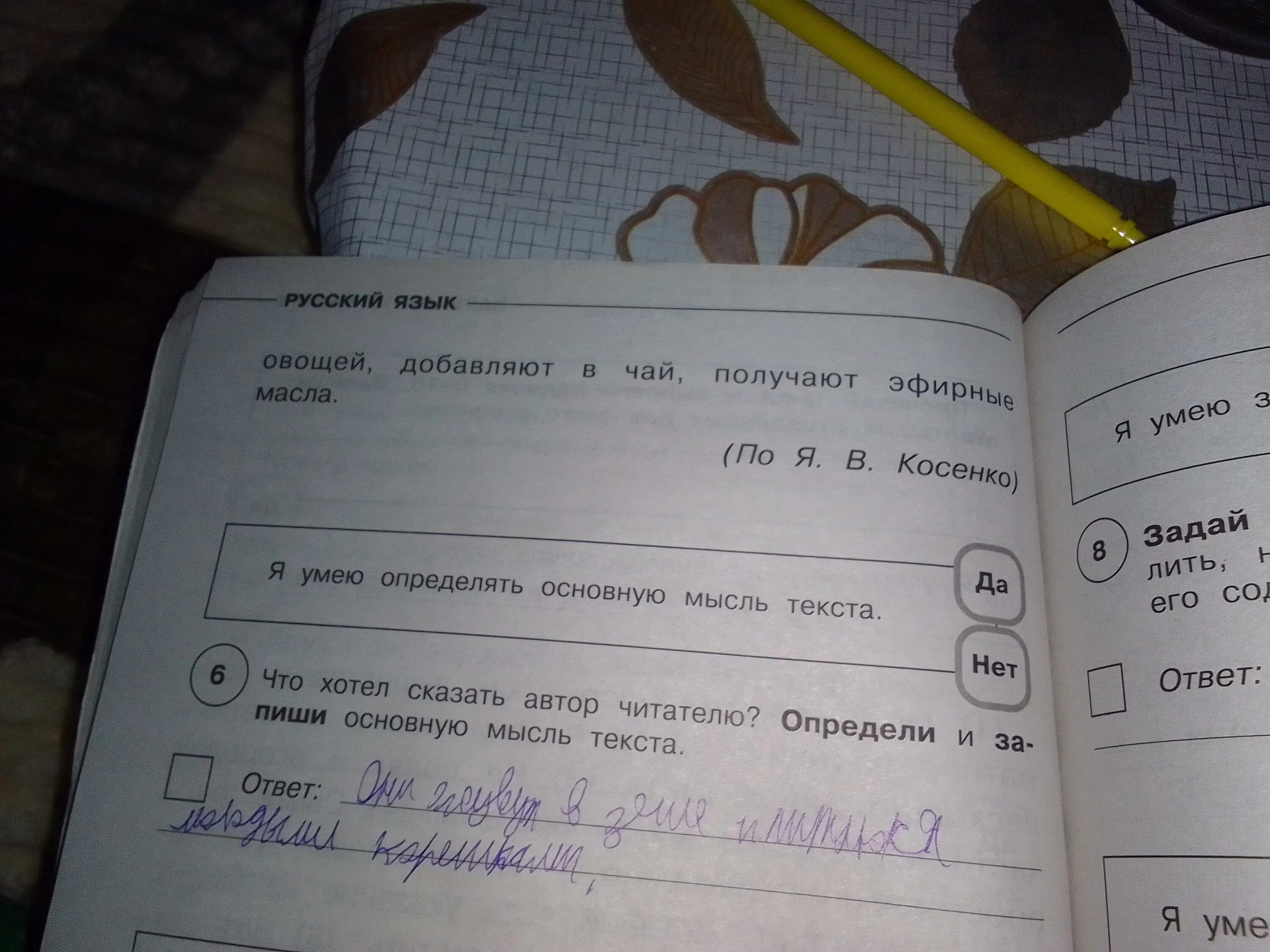 Определите и запишите тему. Определите и запишите основную мысль текста. запишите план текста из 3 пунктов. определи основную мысль текста многое умеют птицы. текст гнездо основная мысль.