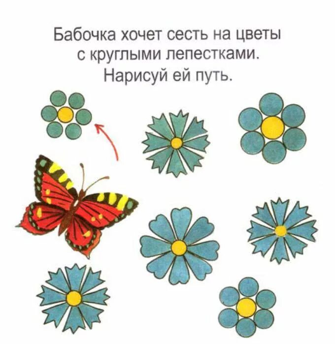 Цветы задания для дошкольников. Цветы задания для детей 4-5 лет. Цветы задания для малышей. Цветы логические задания для детей. Про цветы для детей 5 лет