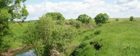 Тульская область алексеевское