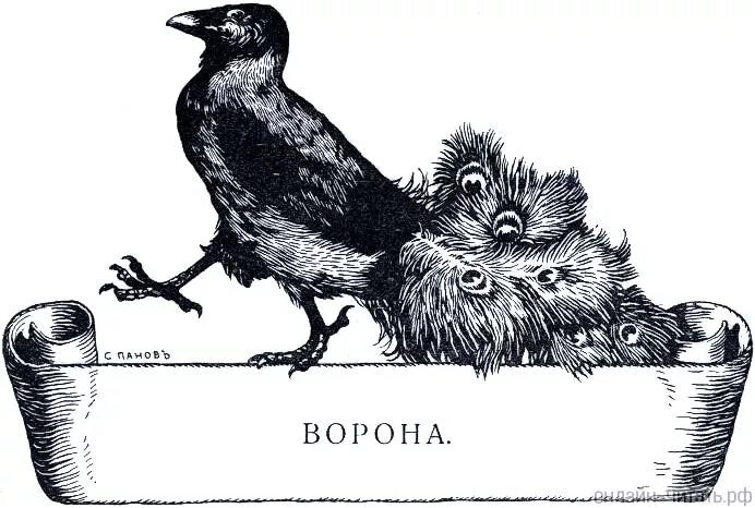 Крылов басня воронёнок иллюстрации. Произведение ворона. Произведения с вороной. Ворона даль. Крылов курица