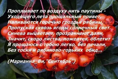 Стих уходящему лету