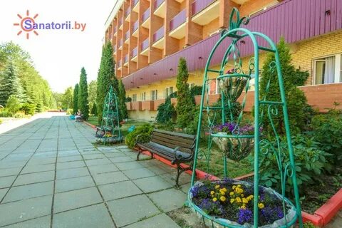 Санаторий приднепровский белоруссия 2024 год