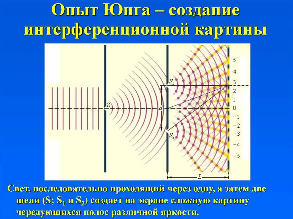 Точка юнга. Двухщелевой опыт Юнга. Интерференционная картина опыт Юнга. Интерференционная света опыт Юнга. Опыт Юнга с щелями.