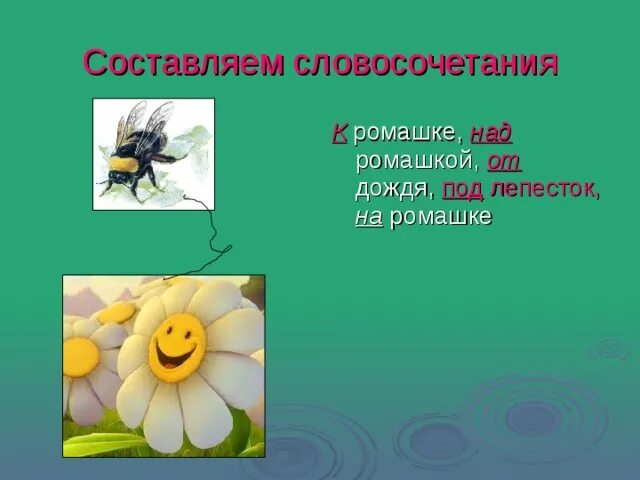 Слова со слова ромашка