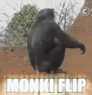 Я обезьяна мой белый слоняра