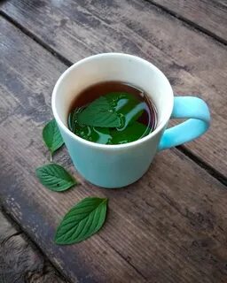 Какой чай мята