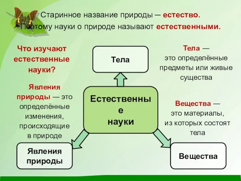 Слово естество