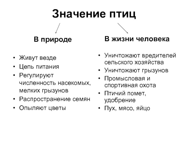 Значение птиц. Значение птиц в жизни человека. Значение птиц в природе. Значение птиц в природе и жизни человека. Значение птицы в питании