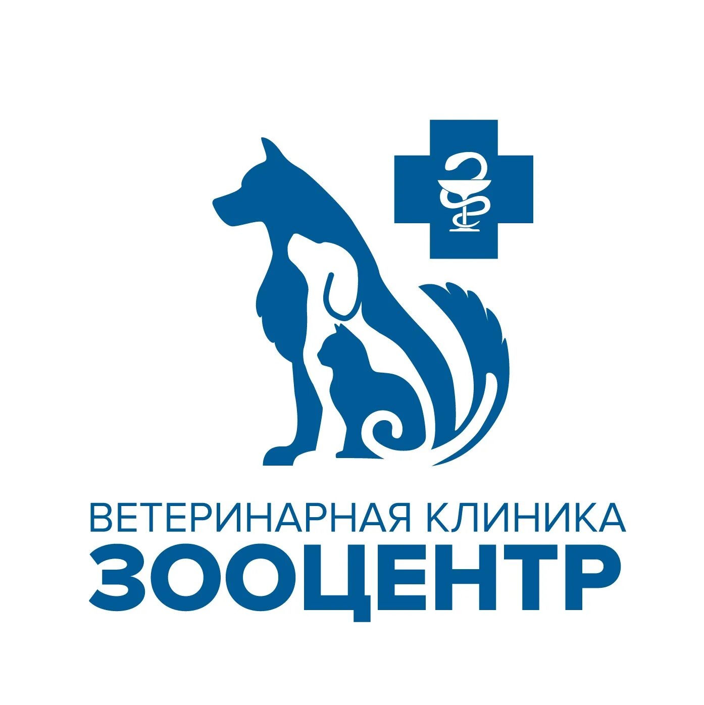 Визитка ветклиника. Сайты ветклиники. Ветклиника адреса и режим работы. Ветклиника адреса и режим работы. Ветклиника адреса и режим работы.