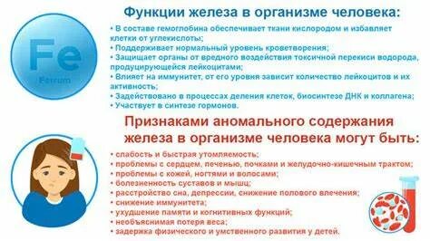 Повышено железо отзывы