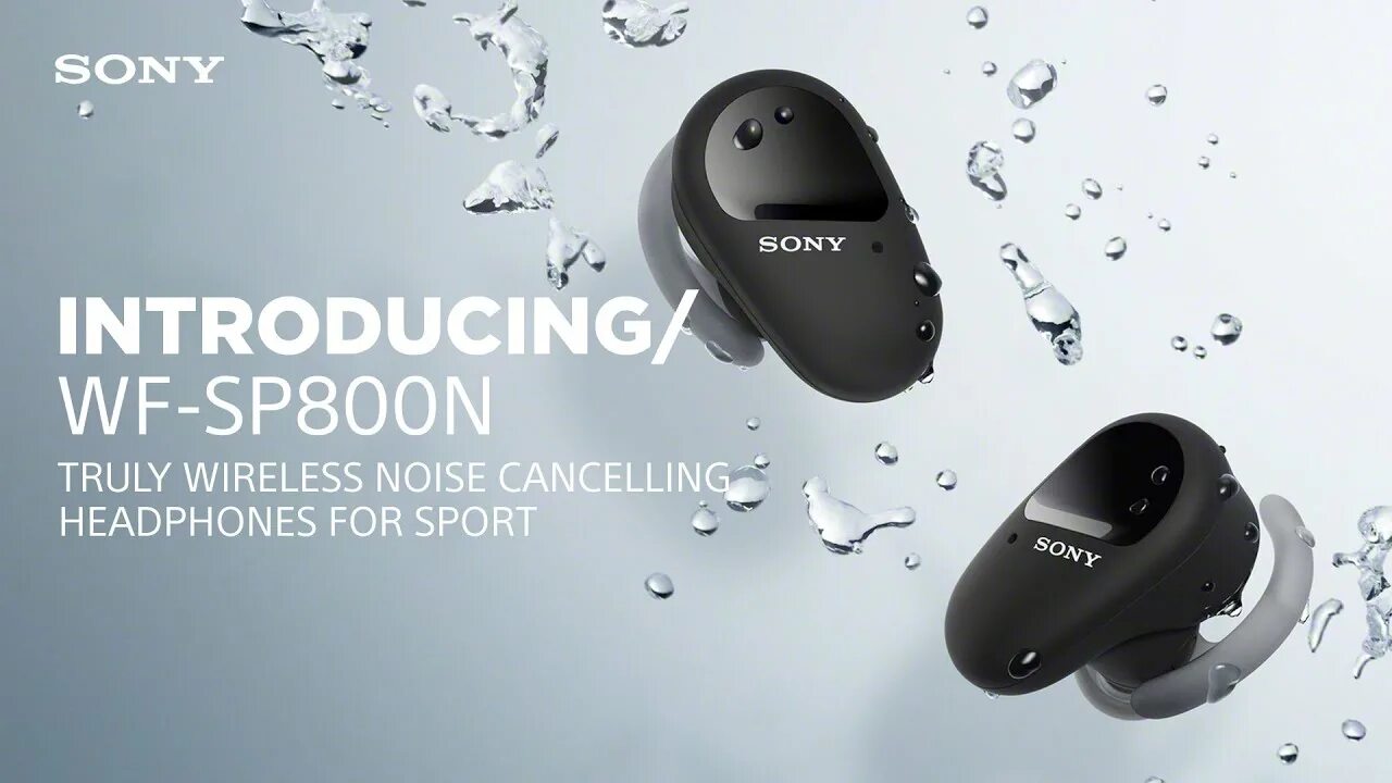 Sony true. Sony WF-sp800n. Sony WF-xb700. Sony WF-sp800n Black. Беспроводные наушники с защитой от воды.
