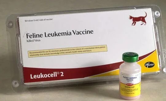 Вакцина от лейкемии. Вакцина против лейкемии кошек. Пуревакс лейкоз. Вакцина от лейкемии. В-на пуревакс felv вакцина.