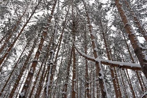 Погода солотча