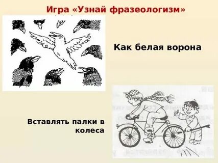 Какая река является белой вороной и почему
