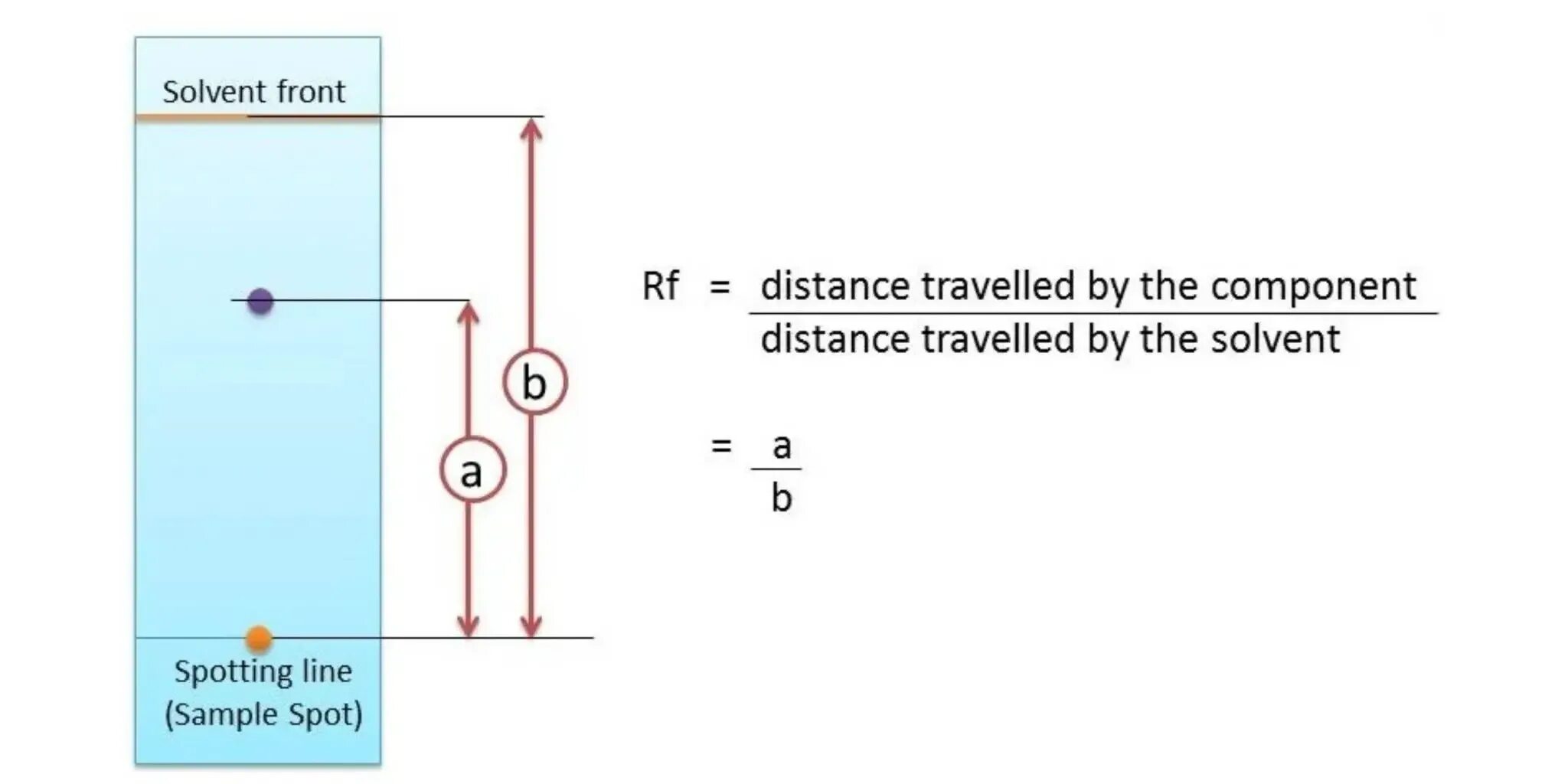 Value papers. Rf chromatography. rf value chromatography. paper chromatography rf. retention factor.