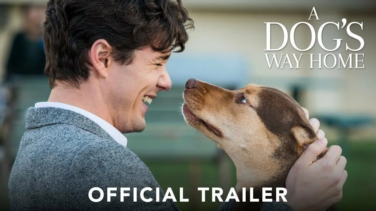 A dogs way home. A dogs way home. A dogs way home. A dogs way home. A dogs way home.