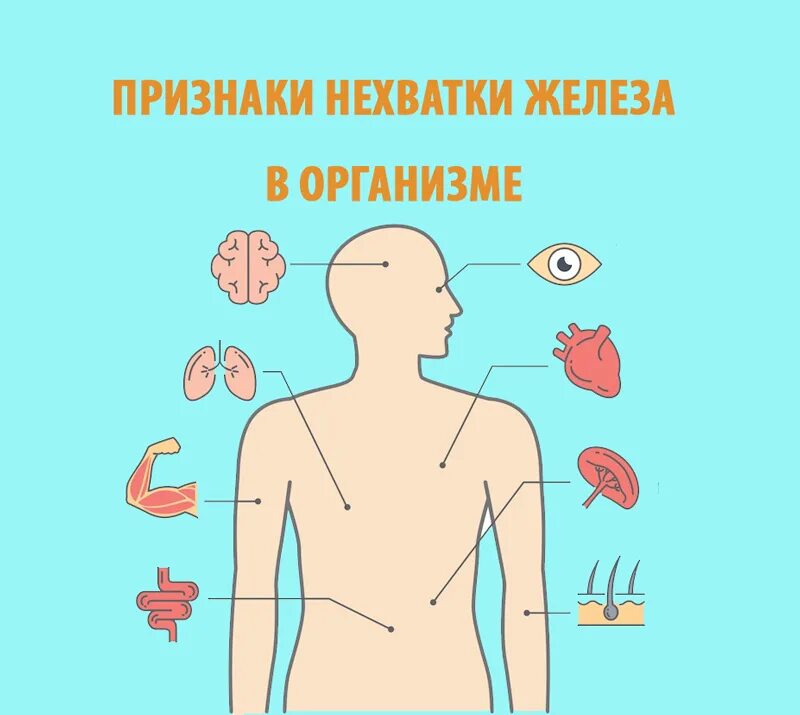 Признаки недостатка железа. Нехватка железа в организме симптомы. Призаки дефецита железо. Симптомы деыецита дклеза.