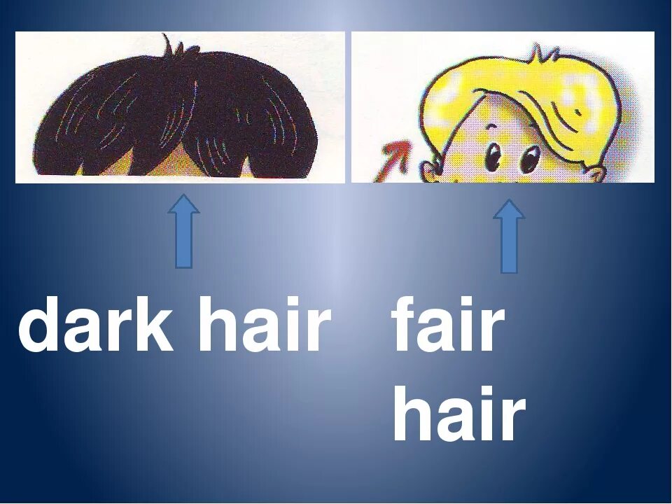 Перевод с английского на русский fair hair