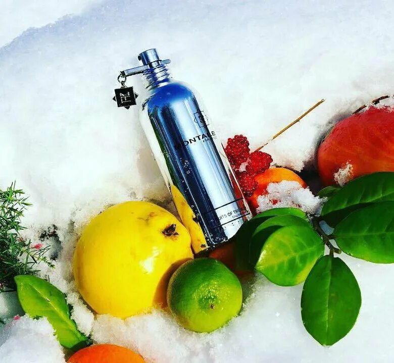 Fruity montale. Монталь Fruits of the Musk. Montale Fruits of the Musk 100 ml. Montale цитрусовые ароматы. Монталь прекрасный фрукт.