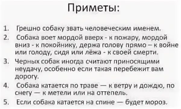 Приметы про собак. Собака воет на луну. Почему собаки воют по ночам. Воет собака примета. Воет собака примета.
