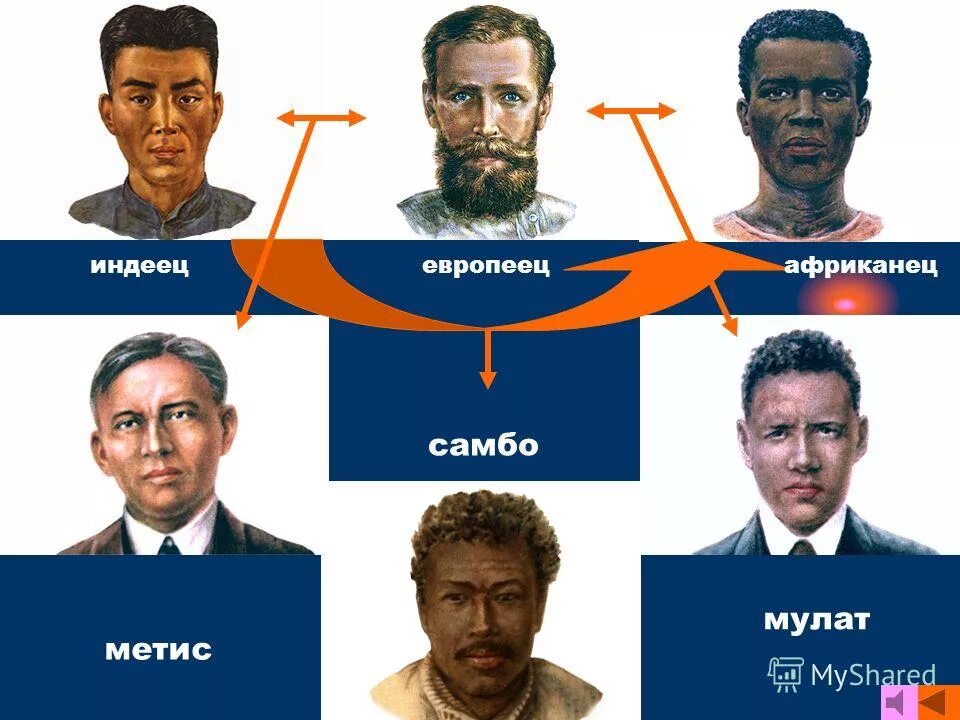 Мулат метис Креол. Мулат метис Креол разница. Метисы Мулаты самбо. Смешанные расы. Виды европейцев