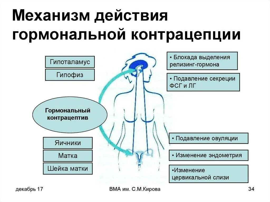 Как действуют противозачаточные